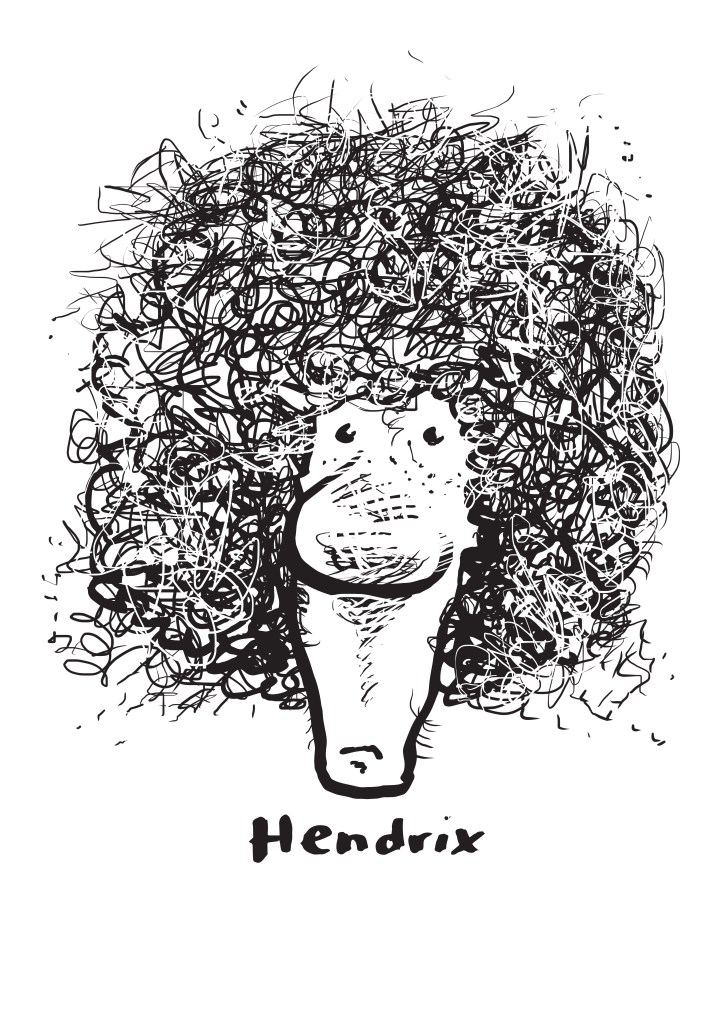 Haircuthendrix