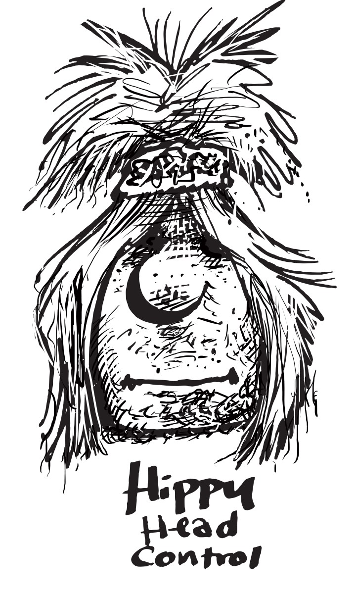 Haircuts2410hippyhead