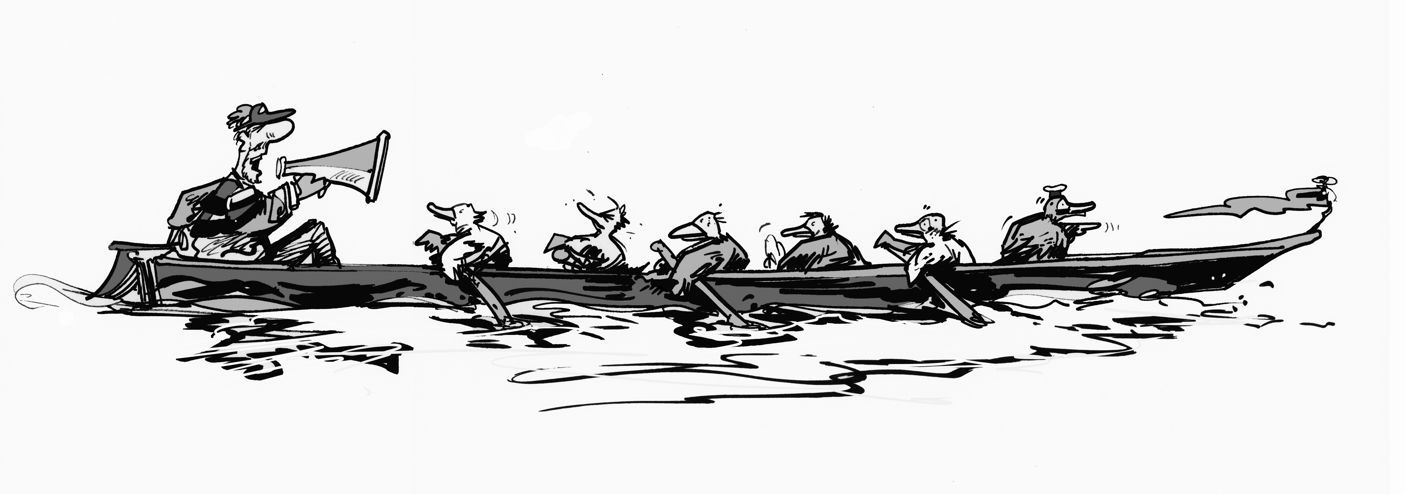 Get your ducks in a row – Paul Davies Cartoons & stuff